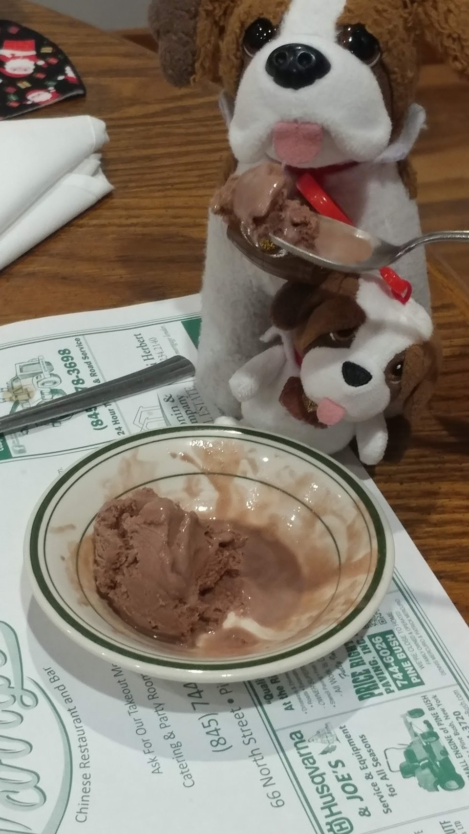 Chocolate Ice Cream